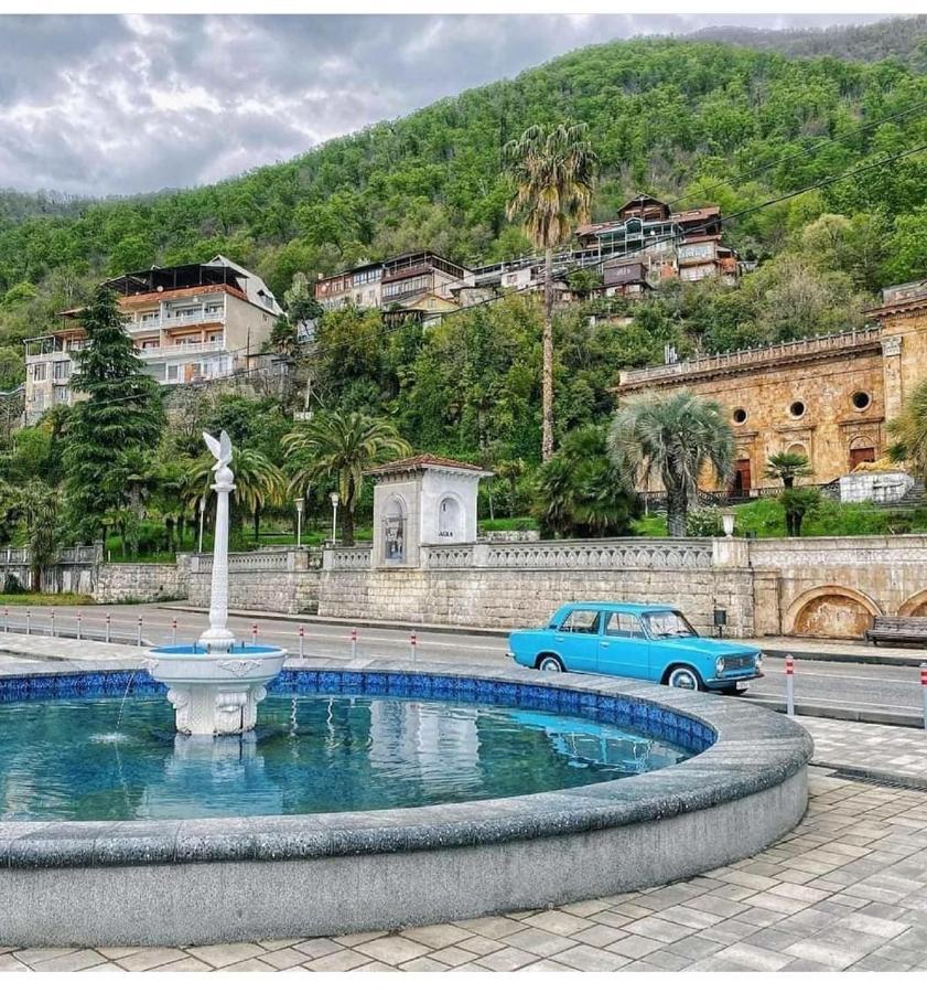 Спиро Гагра Экстерьер фото
