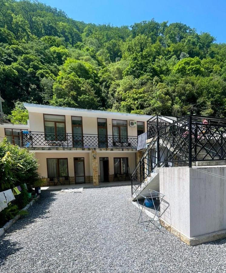 Спиро Гагра Экстерьер фото